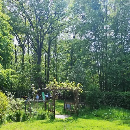 Bois De Biron - - - Erezee