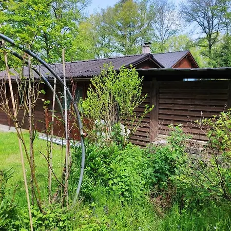 Bois De Biron - - - Holiday home