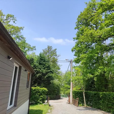 Bois De Biron - - - Érezée