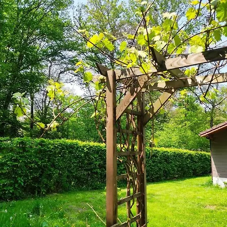Bois De Biron - - -