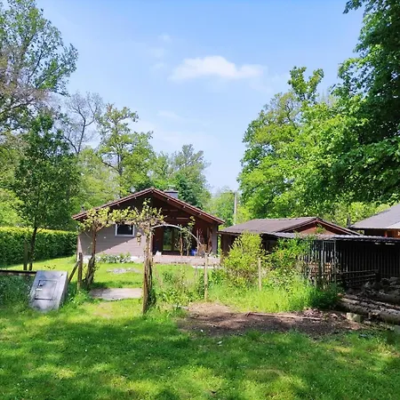 Bois De Biron - - - Érezée