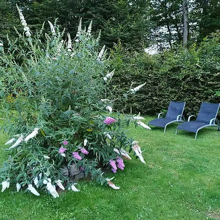 Bois De Biron - - - Holiday home